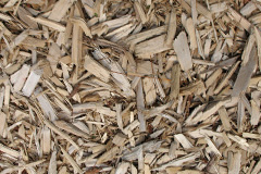 biomass boilers Tullyardan
